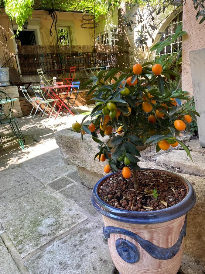 La Paillere Chambres D Hotes Mus エクステリア 写真